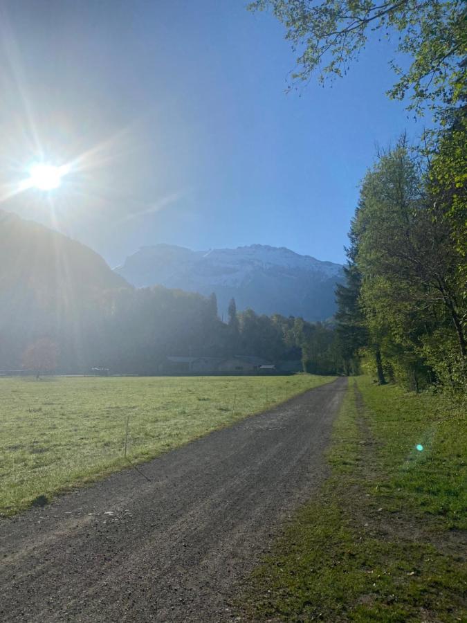 Appartement Rez-De-Chaussee, Cosy T3 4 A 6 Pers Avec Piscines Interieure & Exterieure A Samoens En Haute-Savoie Luaran gambar